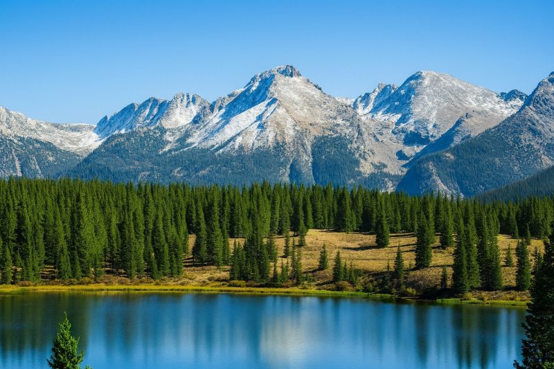 Local Commercial Deck Repair in Lafayette, CO