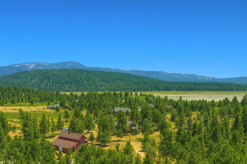 Local Deck Repair in Big Bear City, CA