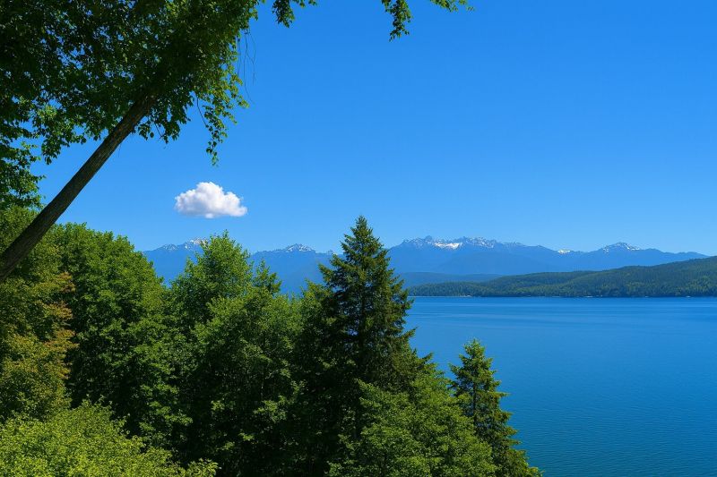 Local Deck Repair in Seabeck, WA